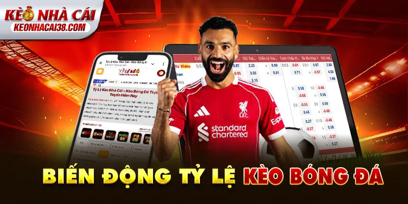 Tỷ Lệ Kèo Nhà Cái Biến động tỷ lệ kèo bóng đá hôm nay